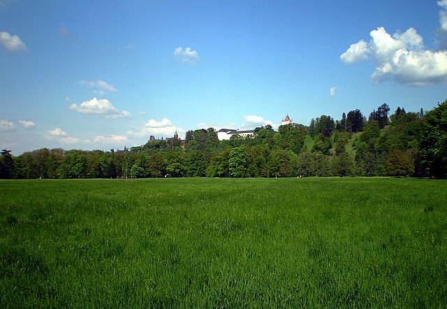 P5100022.JPG